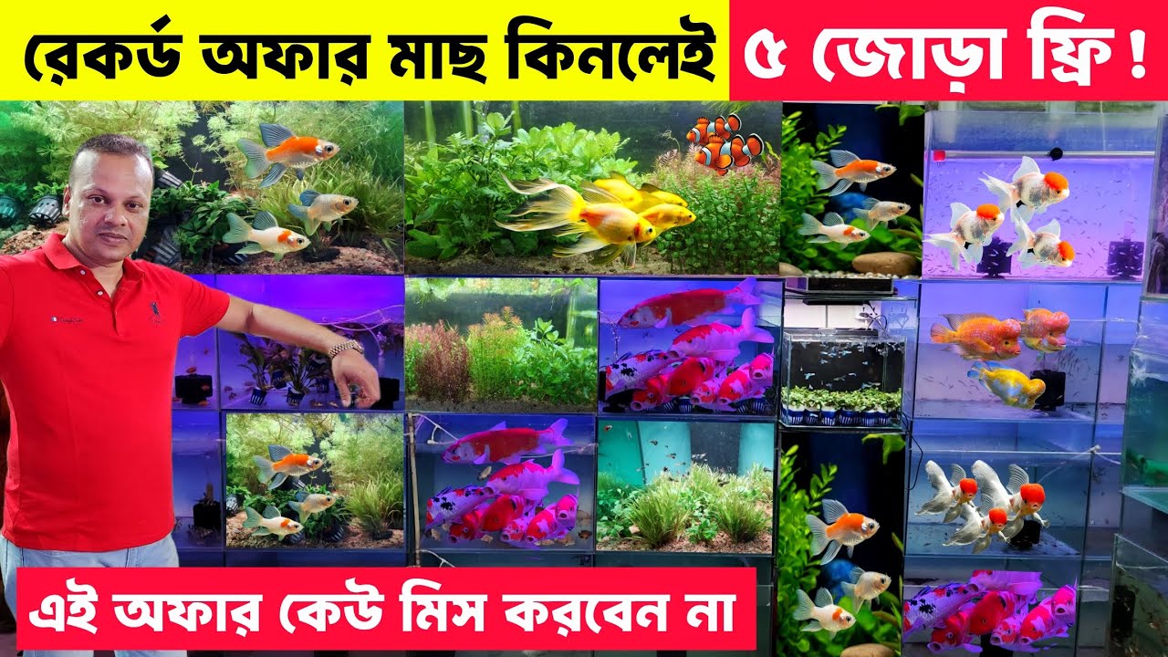 Aquarium Fish Price In Bangladesh 2025🐠Aquarium Fish Price | Aquarium | Aquarium Fish Price In BD🐠