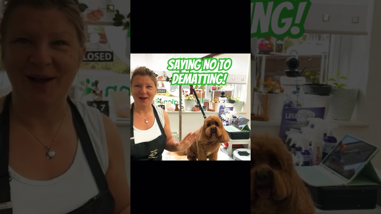 Be Kind To Your Pets: Gentle Dog Grooming Tips | 
