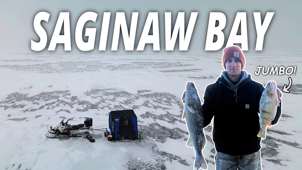 Walleye and Perch Fishing on the Saginaw Bay Ice - With Tellin Tales Sportfishing