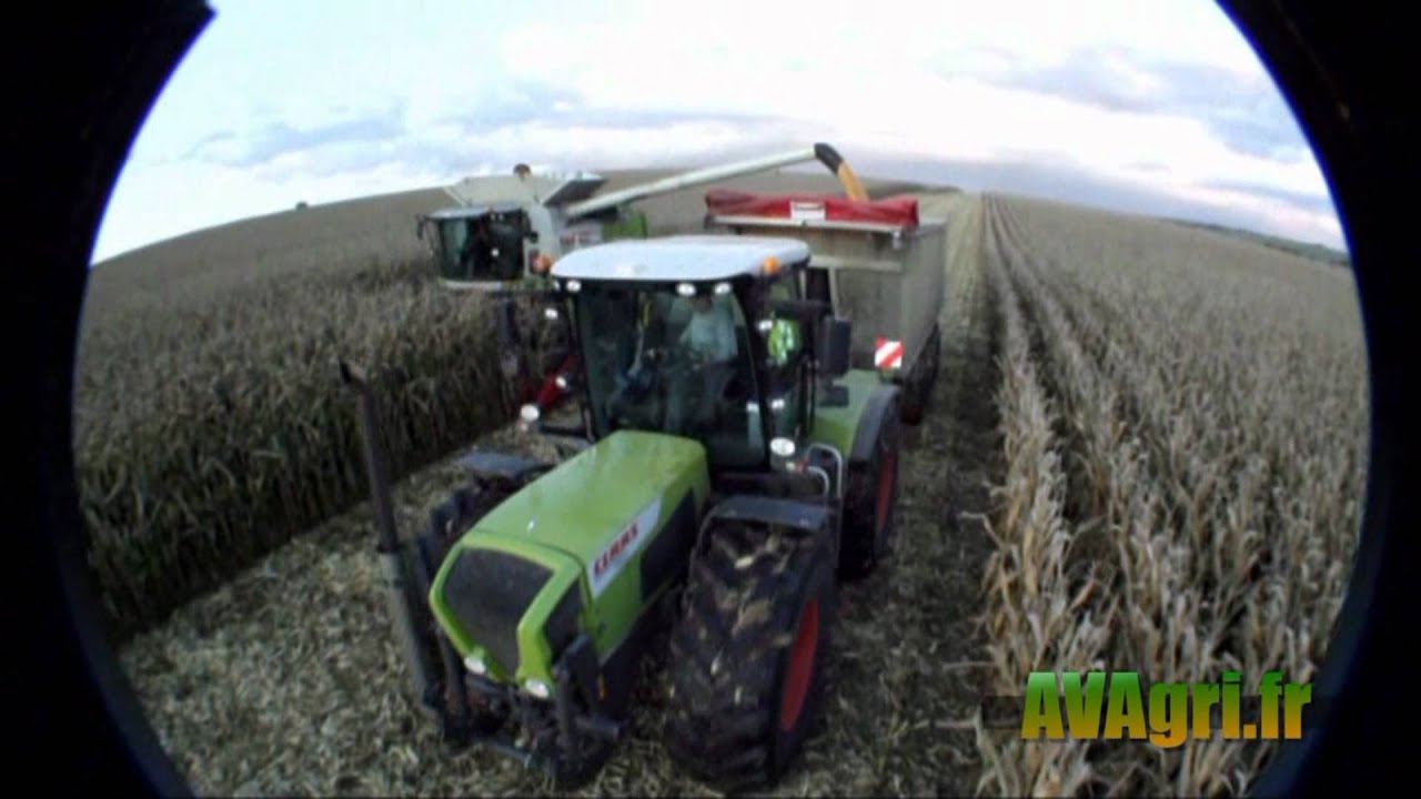 CLAAS Lexion 770 et 2 Xérion à la récolte du maïs en 2011