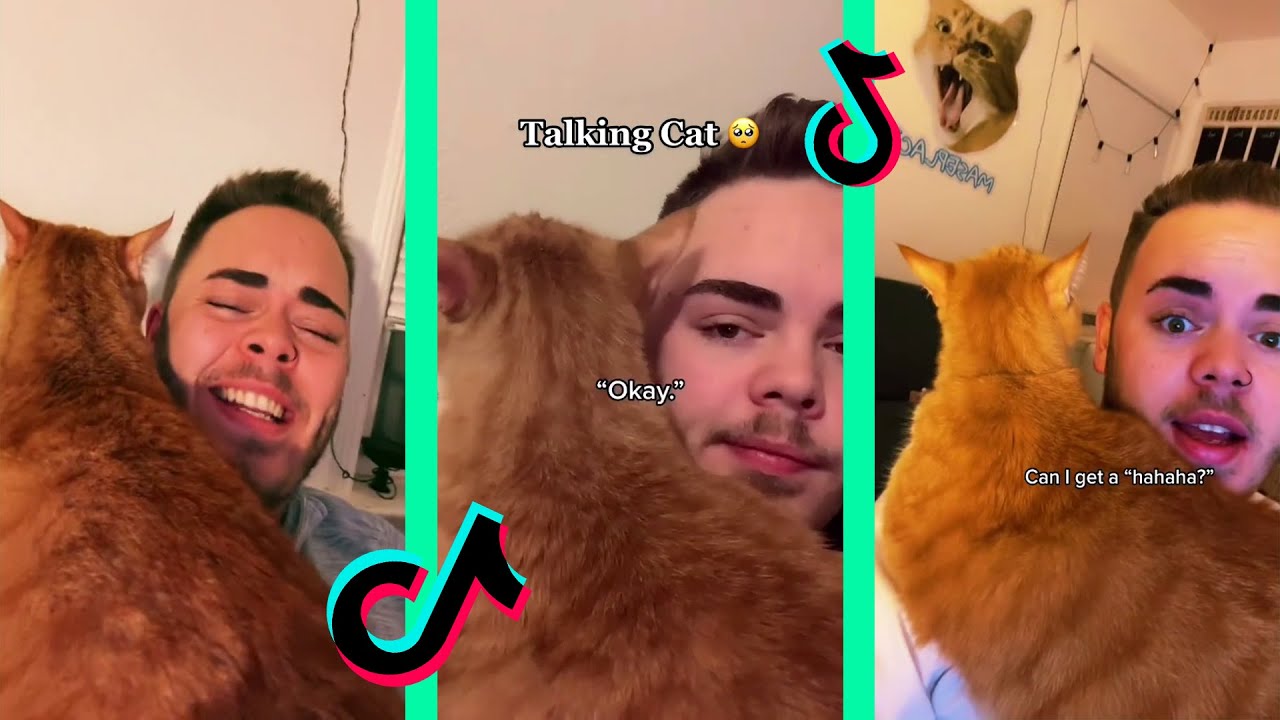 Cooter the talking kitty | Cooter the cat part 4