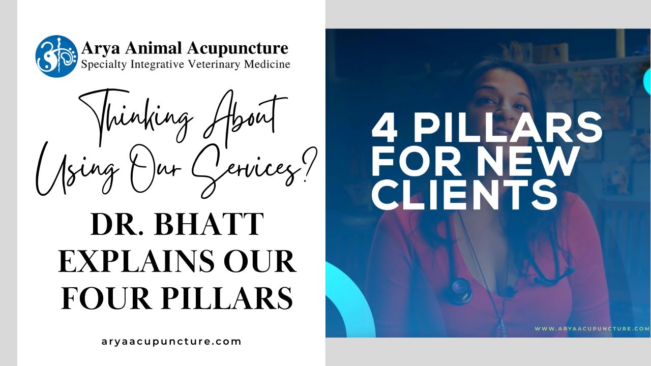 Dr. Priya Bhatt Explains the 4 Pillars to Remember When Thinking About Using Our Services