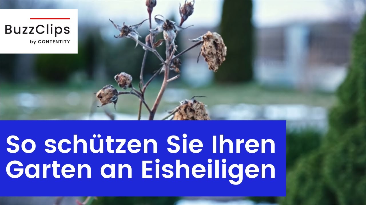 Drei Gartentipps f&uuml;r die Eisheiligen