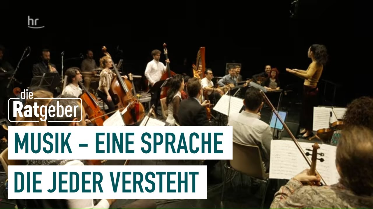 Das musikverbindende Kammerorchester  | 