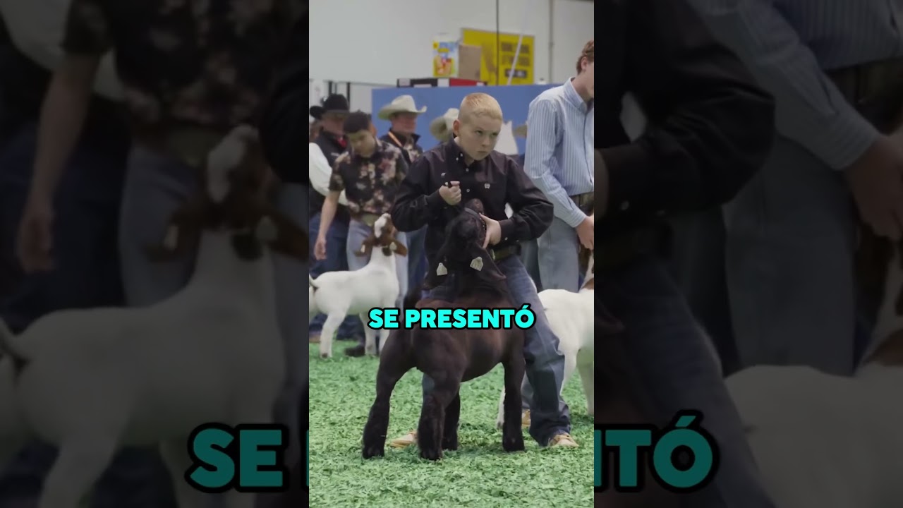 la VERDADERA FUERZA ESTÁ en el INTERIOR 🐐😠 