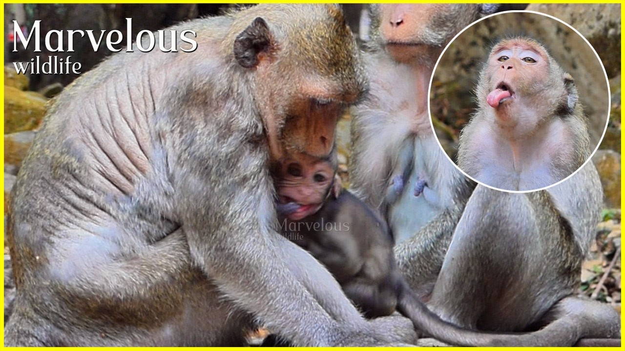 A moment cute baby Jiva​ r/esentmentt, Mom Jazzy nott yet granted full immunity, Jonna...?