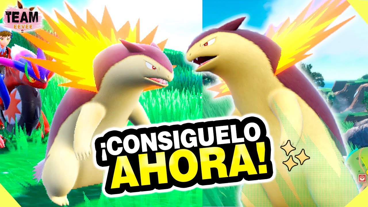 ✨ Cómo Conseguir un TYPHLOSION SHINY y Heredarle una POKÉ BALL ESPECIAL | Escarlata Púrpura