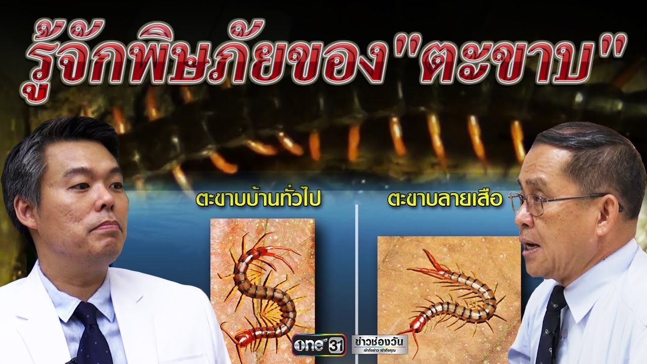 รู้จักพิษภัยของ