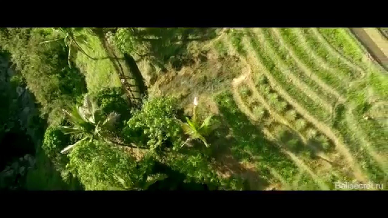Bali by Balisecret.ru
