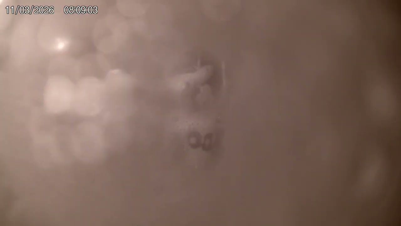 cycle with bubbles