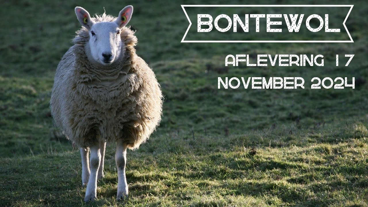 Bontewol afl. 17, november 2024