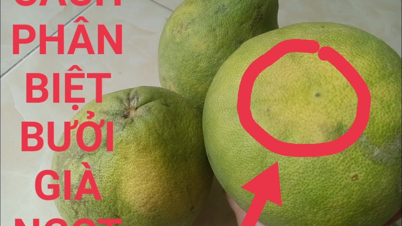 C&aacute;ch Lựa Mua Bưởi Ngon Ngọt/C&aacute;ch Chọn Bưởi Chuẩn Gi&agrave; Ngọt # Th&uacute;y Long An Vlog