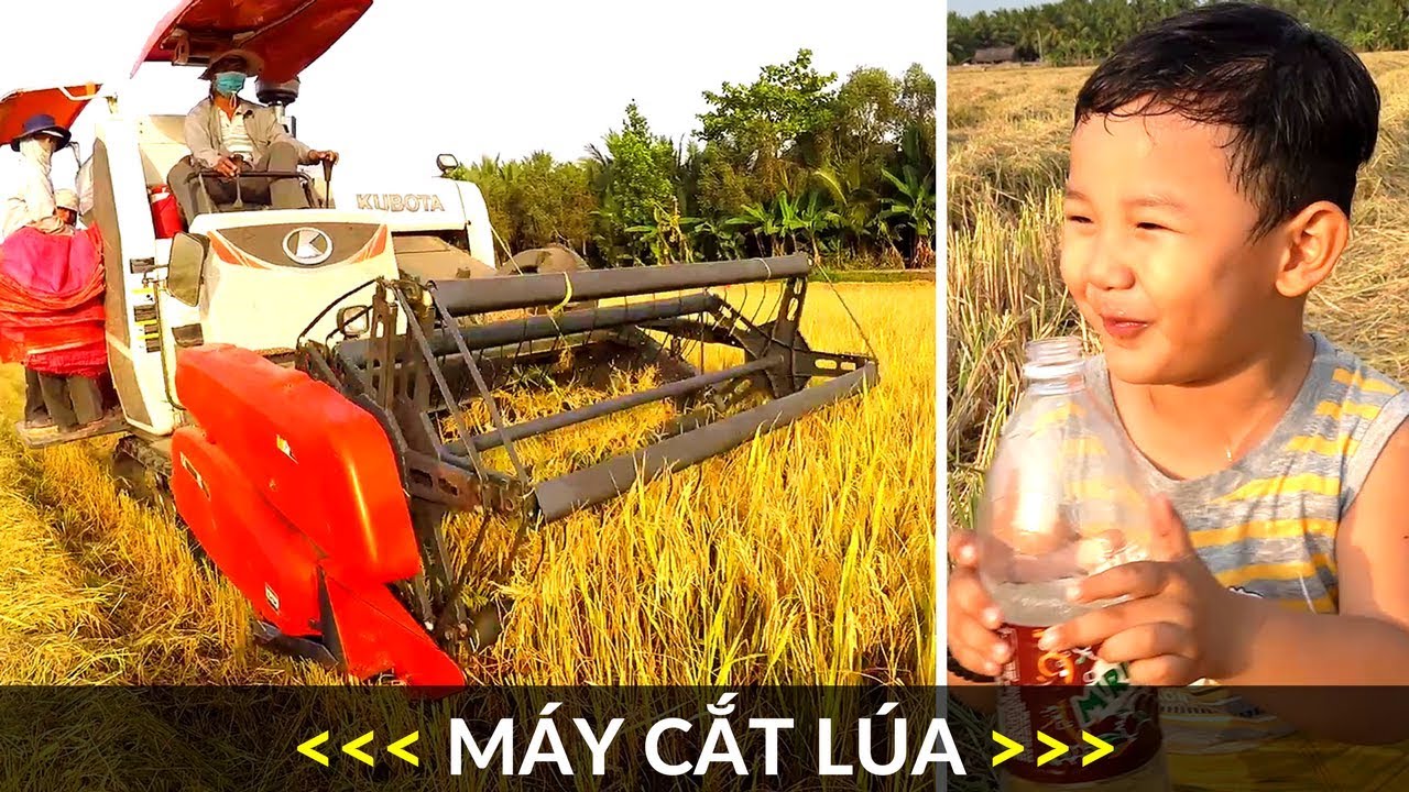 Máy Gặt Đập Liên Hợp | Máy Cắt Lúa | Nhạc Thiếu Nhi Remix Hay Nhất