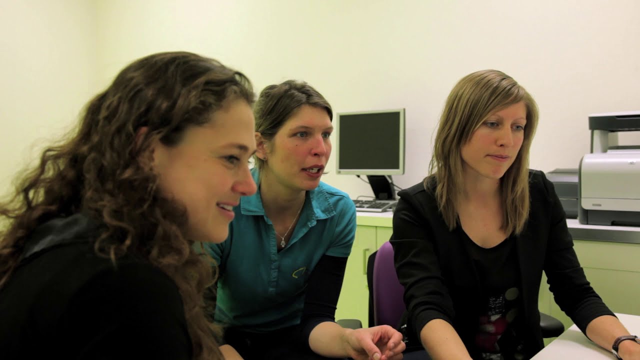 Loopanalyse