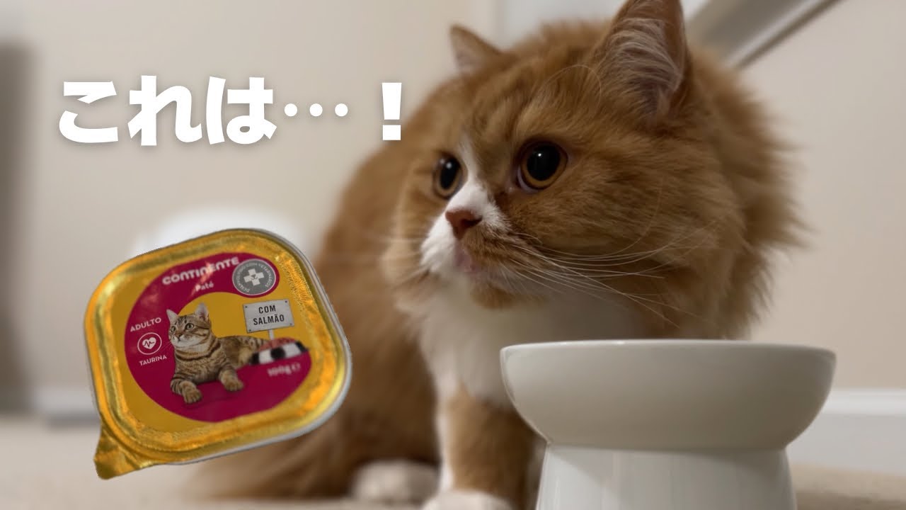 うに様のお口にスペインのパテは合うのか