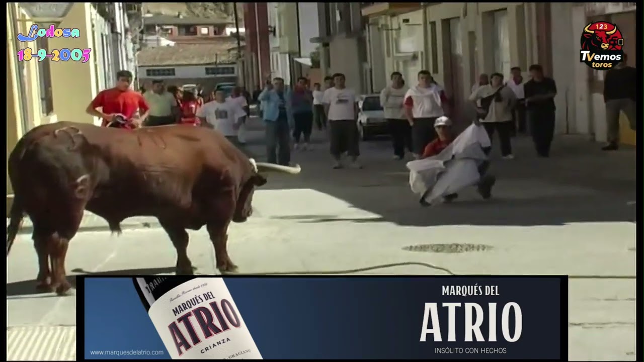 2005 09 18 toro con soga de lodosa 5ª parte