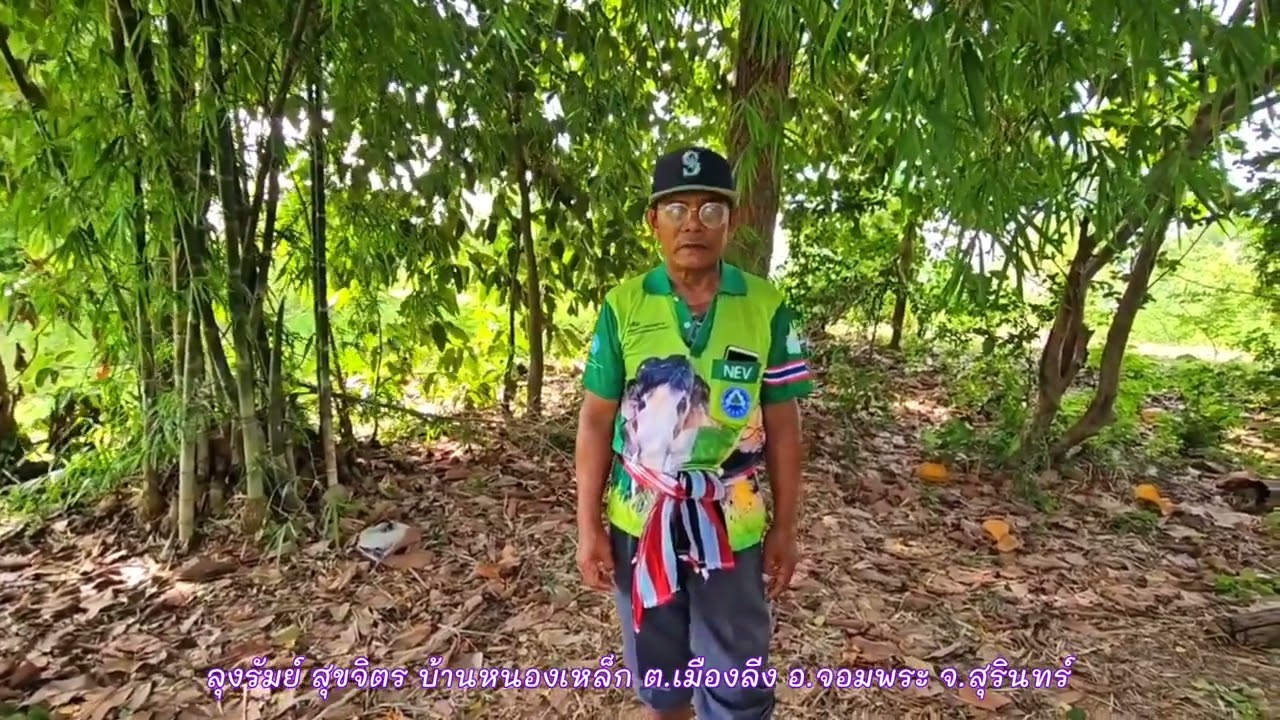 วิถีชีวิตผู้นำชุมชนสร้างป่าครอบครัว : ลุงรัมย์ สุขจิตร || เอ็นดูวิถีชีวิต 
