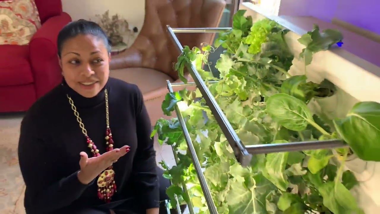 HydroArtPod: Fully-automated garden on your wall
