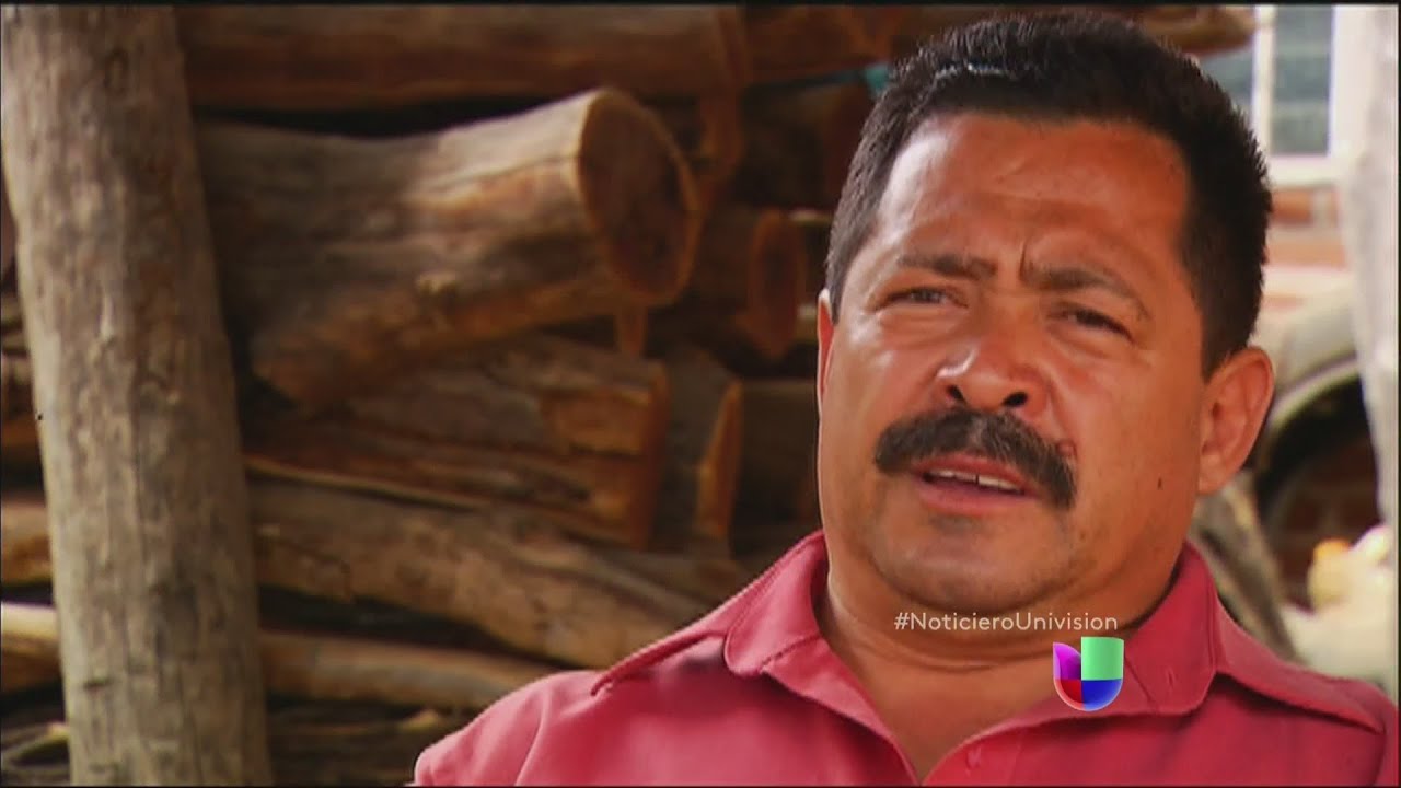 Los que conocían a Joaquín El Chapo Guzmán -- Noticiero Univisión