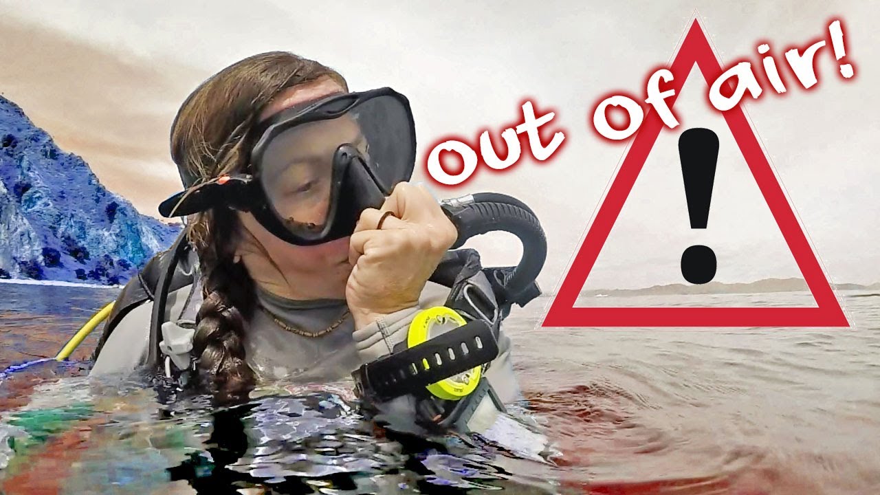 What if you run out of air while scuba diving?? ⛑