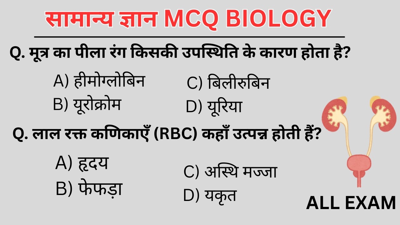 सामान्य ज्ञान | General Knowledge | GK GS Questions | All Competitive Exams | GK MCQIs video mein
