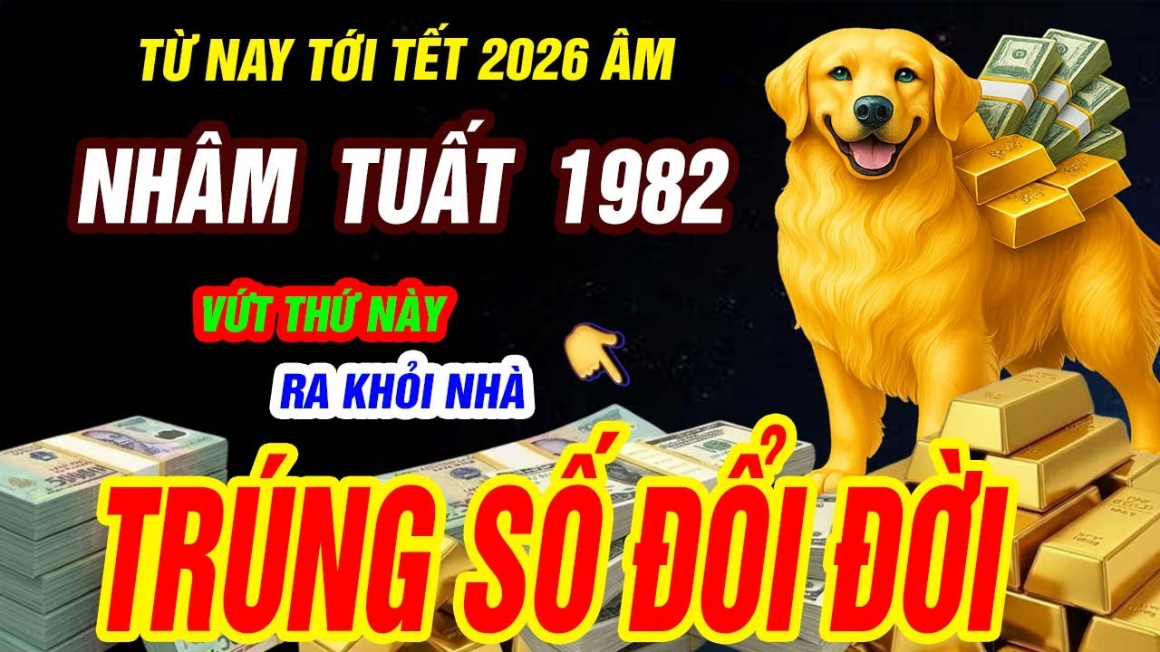 NHÂM TUẤT 1982 vứt 5 thứ này khỏi nhà, từ nay tới tết hốt vàng hốt bạc, tiền của ập về, cực giàu có