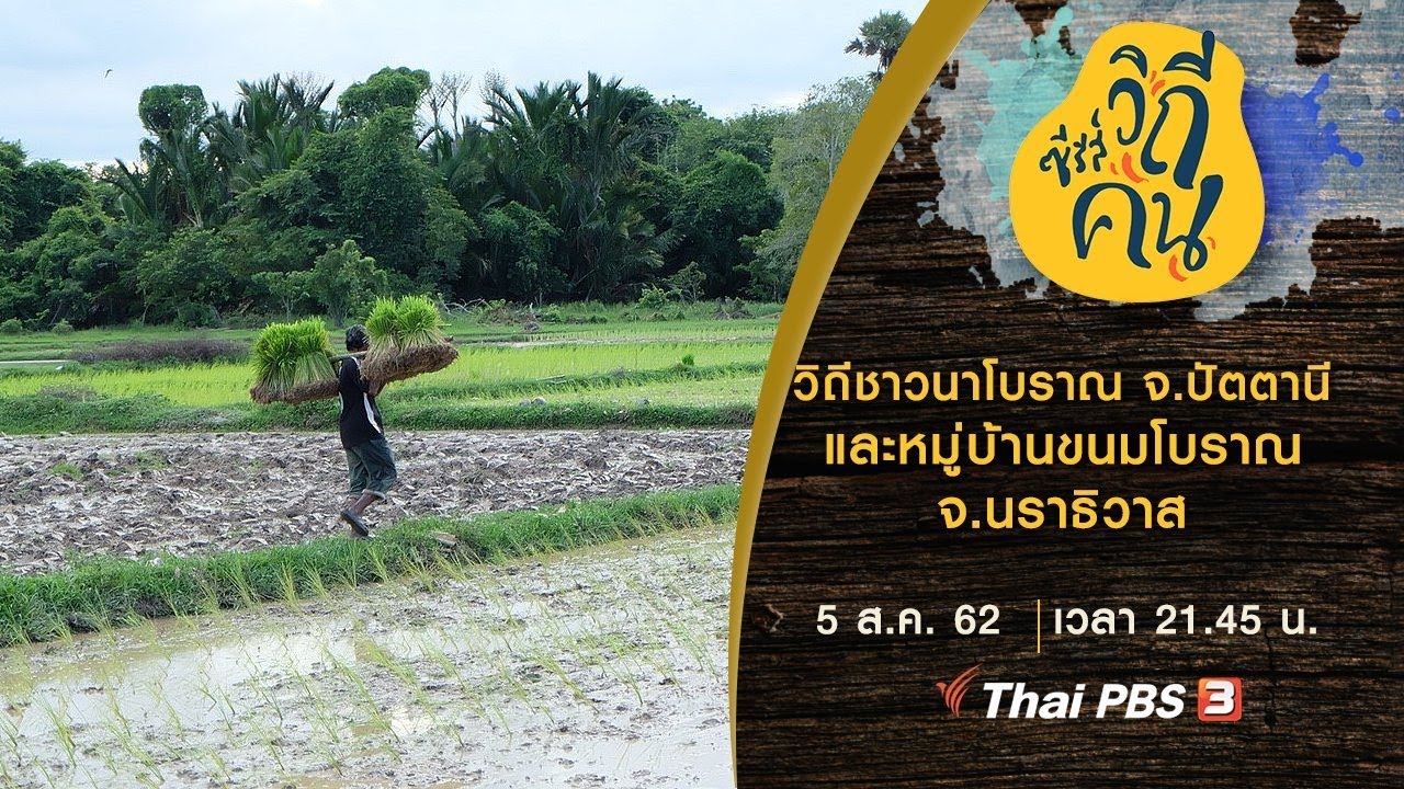 วิถีชาวนาโบราณ จ.ปัตตานี และหมู่บ้านขนมโบราณ จ.นราธิวาส : ซีรีส์วิถีคน (5 ส.ค. 62)