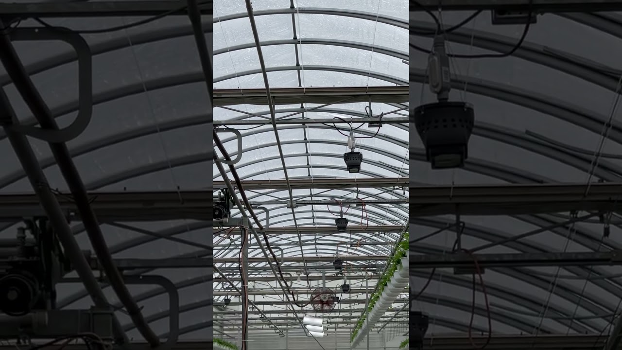 Artificial Lighting for Greenhouse plants