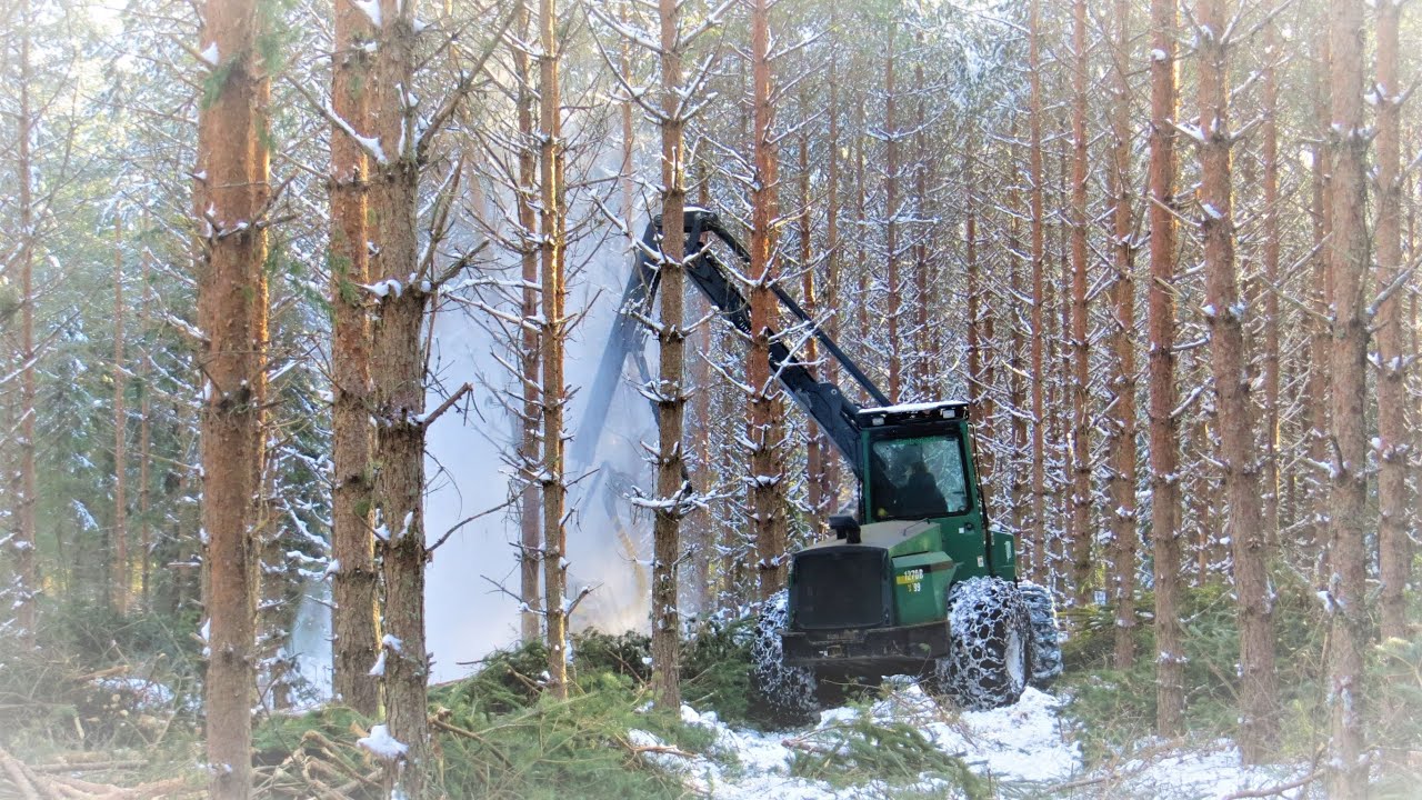 Timberjack 1270B ja 1110D harvennuksella.
