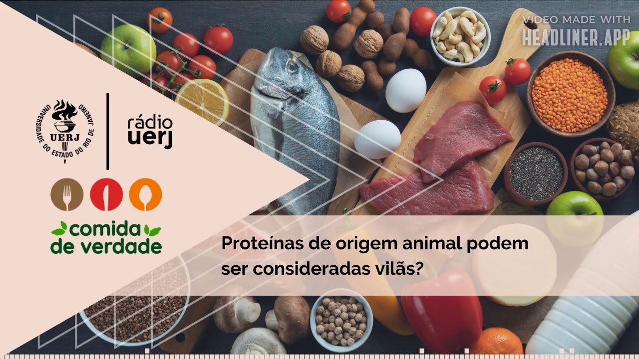 Comida de Verdade: Proteínas de origem animal podem ser consideradas vilãs?