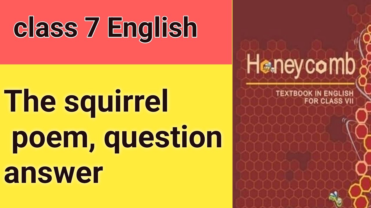 Class 7 English/ the squirrel question answer/Bihar board class 7 English