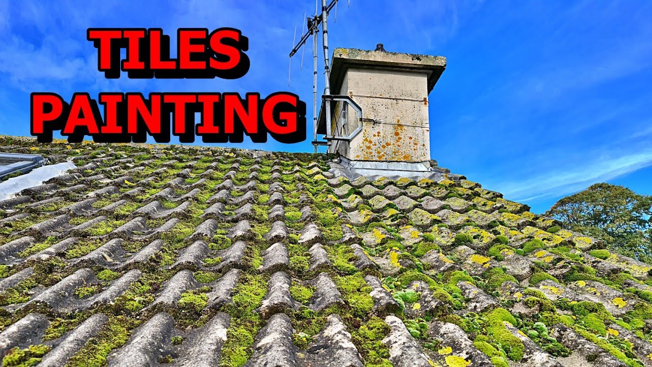 HEAVY MOSS SPRAY PAINTING ROOF TILES CO.KERRY KILLARNEY, IRELAND.PREPARTATION