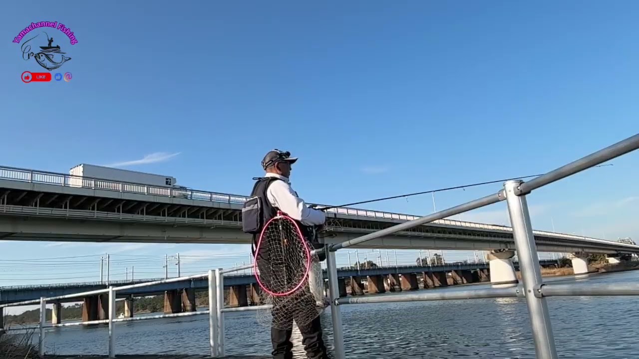 相模川、シーバスリベンジになるか！？？