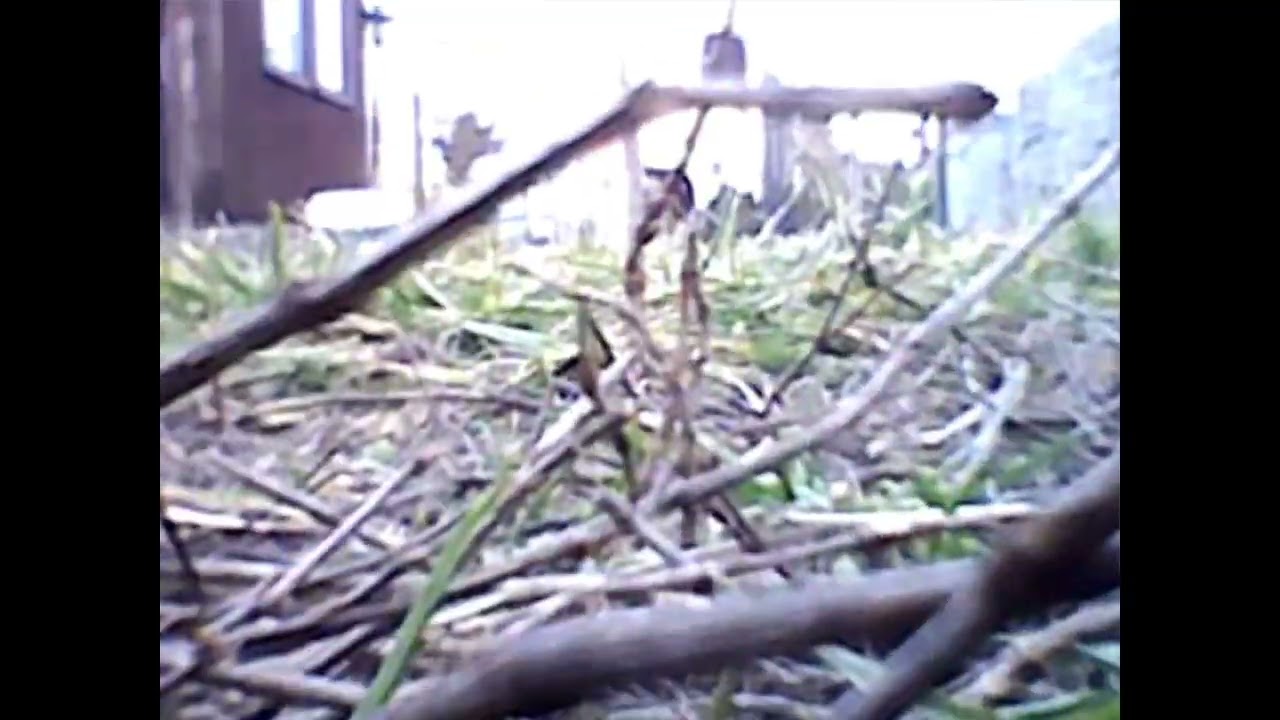 Pozdrawiam serdecznie 