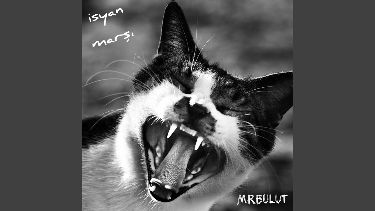 İsyan Marşı (Radio Edit)