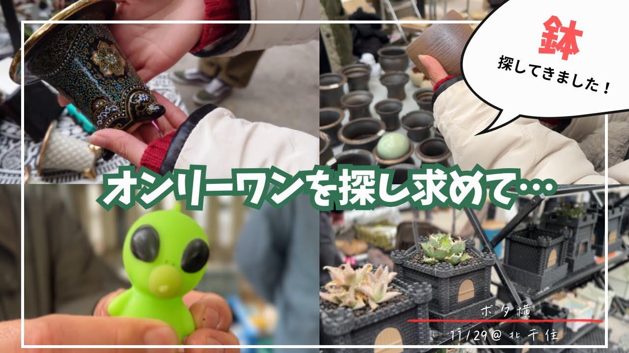 【至高】夢中に鉢を吟味する時間が最高すぎた！│ボタ横│鉢│植物