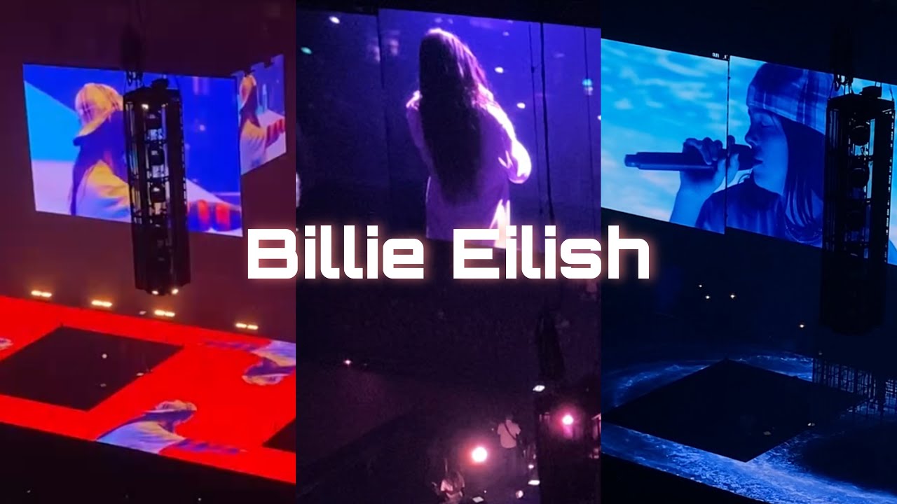 The Ultimate Billie Eilish Concert Experience (Atlanta 2024)