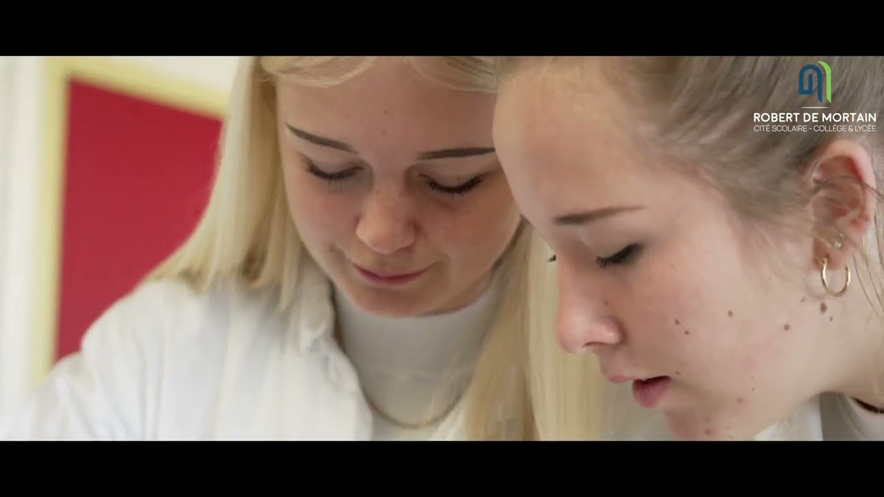 LYC&Eacute;E ROBERT DE MORTAIN - CLIP BAC ST2S