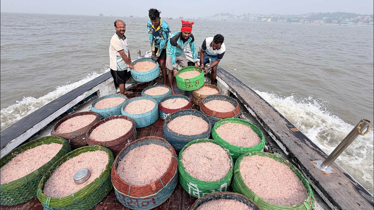 2 महिन्यानंतर खोल समुद्रात केली जवळा मासेमारी. Deep sea fishing after 2 months. Mumbai India fishing