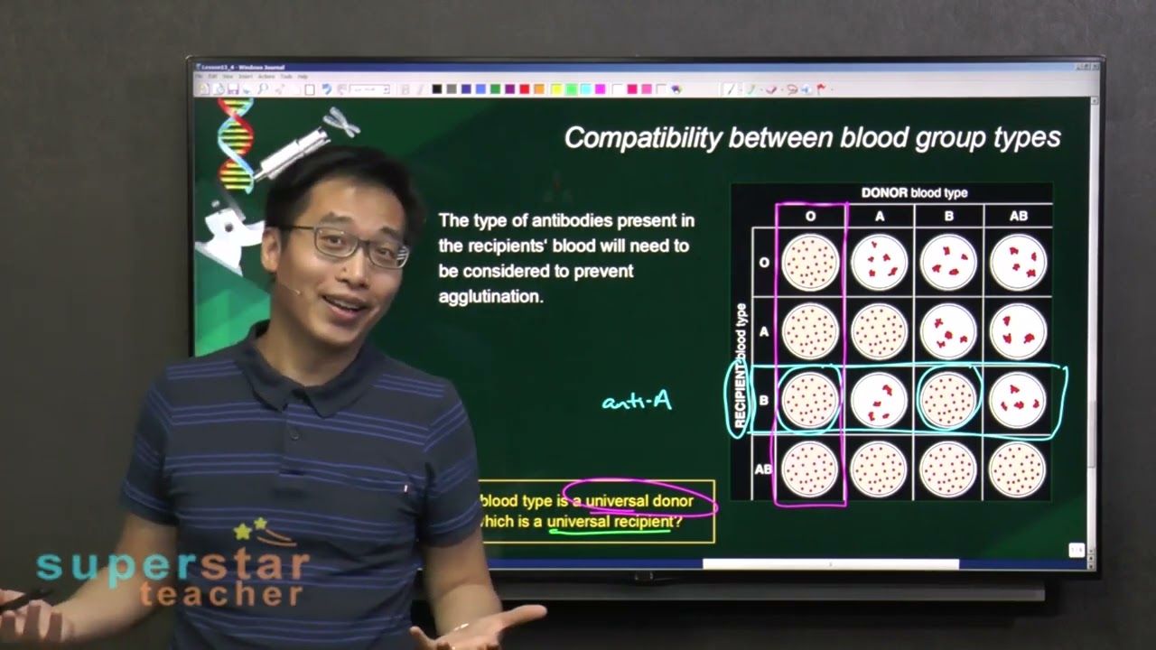 Which blood type is a universal donor? | Secondary Science