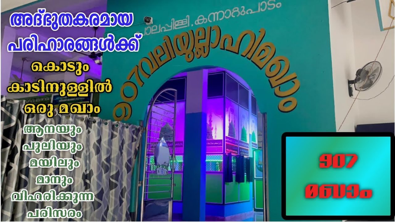 907 മഖാം : കൊടുംകാടിനുള്ളിലെ കുഞ്ഞ് സയ്യിദിൻറെ മഖാം