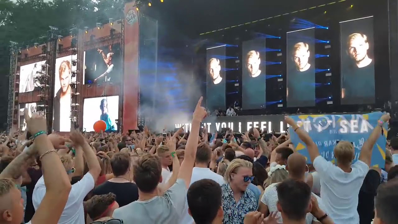 Avicii Tribute Pildammsparken Big Slap Suecia Malmö 2018