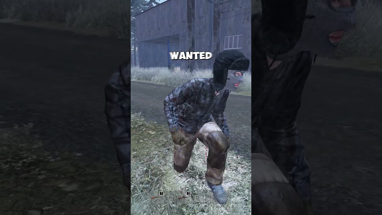DayZ is not DayZ  Without the French