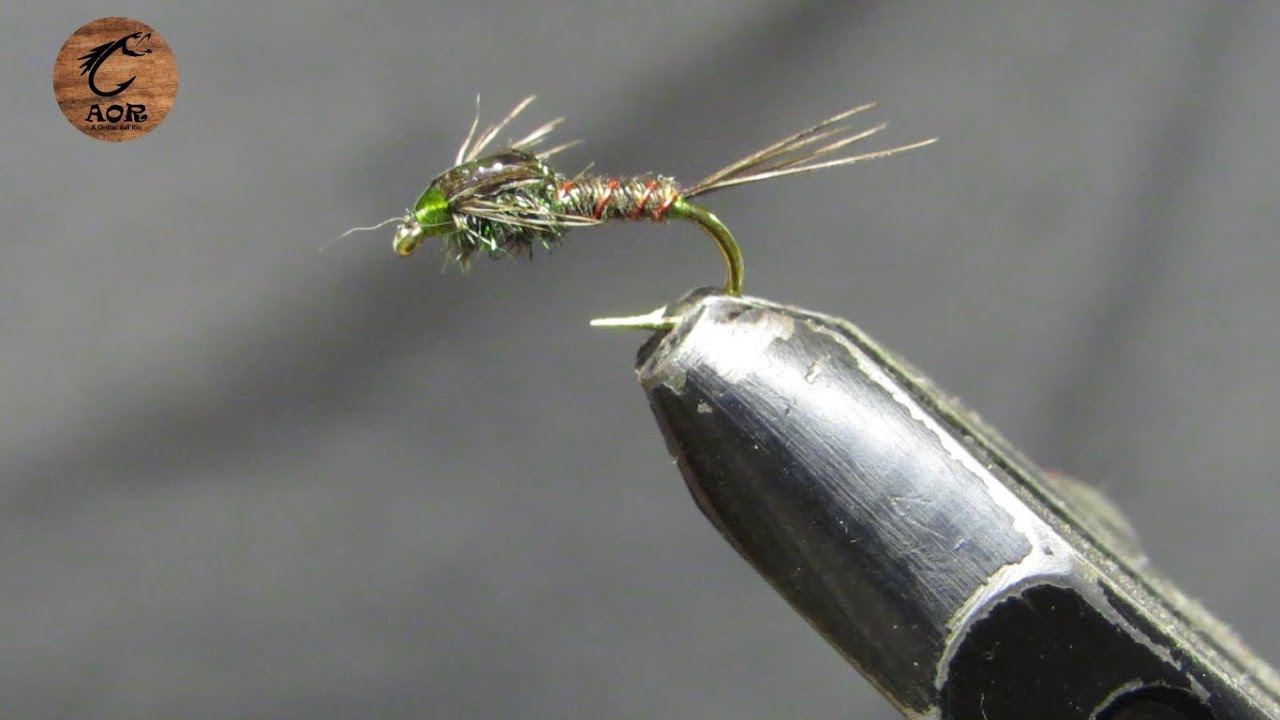 Atado de una Pheasant Tail