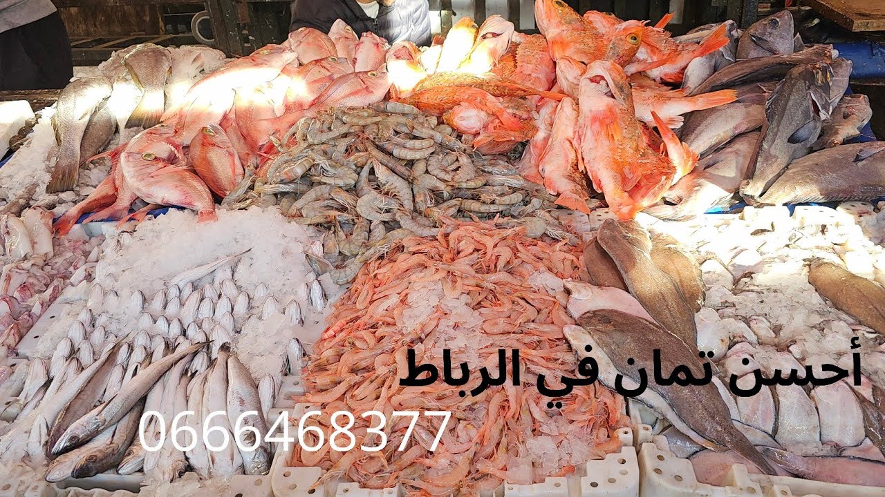 اليوم كاينة الهمزة في الرباط #مرحبا بالجميع في سوق البيتات الرباط#عندأسماك بدر #الجودة والمعاملة 