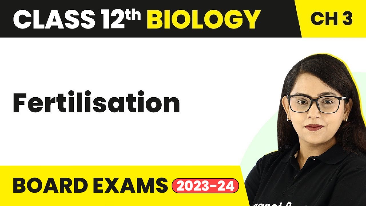 Class 12 Biology Chapter 3 | Fertilisation - Human Reproduction CBSE/NEET (2022-23)