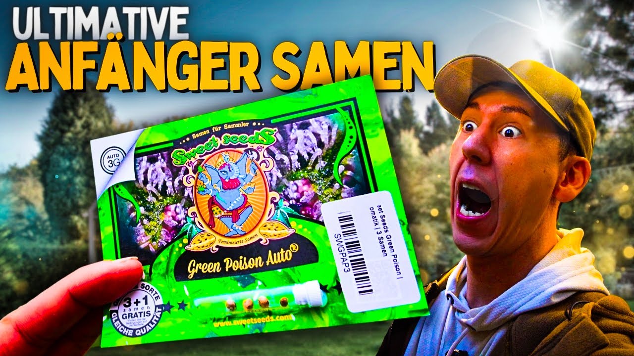 Diese Cannabis Samen will jeder 😱 Anf&auml;nger Samen f&uuml;r den eigenen Anbau legal Online bestellen!