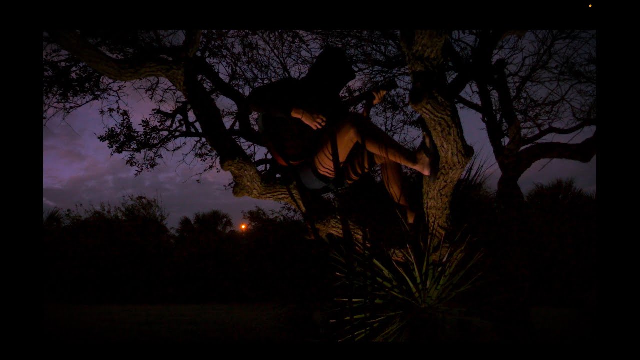 Lemon Moon - (Official Music Video)