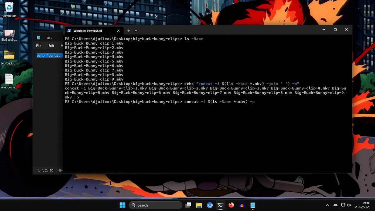 Using ls or cat in subshell to pass file names to a script on Linux and Windows