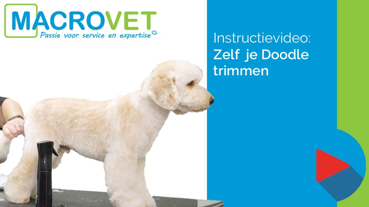 Instructie video: Zelf gemakkelijk je Doodle trimmen